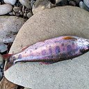 ���� U-jin, ������, 54 ���� - ��������� 23 �������� 2018 � ������ ������ ��������