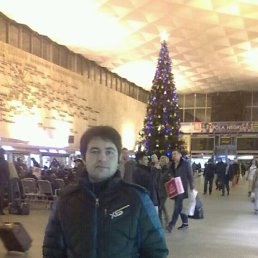 ������, ������, 41 ���