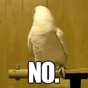 ���� ����, ������, 46 ��� - ��������� 10 ����� 2019