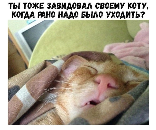    :D - 23  2018  16:44