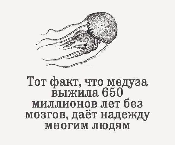  - 20  2019  17:54