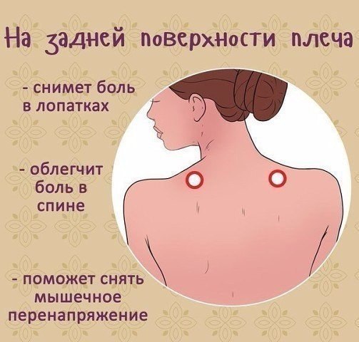 ���������� ����� �����, ������� ������ ���� � ������������ ������: