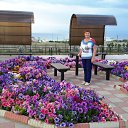 ���� ����, ����������, 68 ��� - ��������� 31 ������ 2019 � ������ ���� ����������