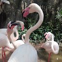 ���� ������, ����������, 56 ��� - ��������� 11 ����� 2019 � ������ ������ ��������