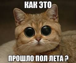   :3 - 21  2019  20:50