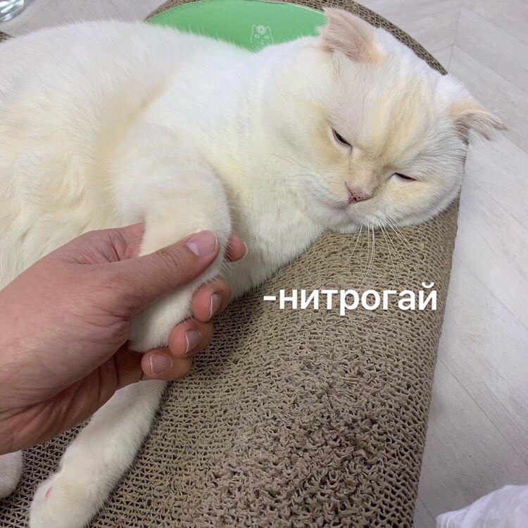 : 