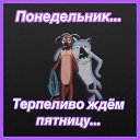  Zemlyanika,  -  18  2019    