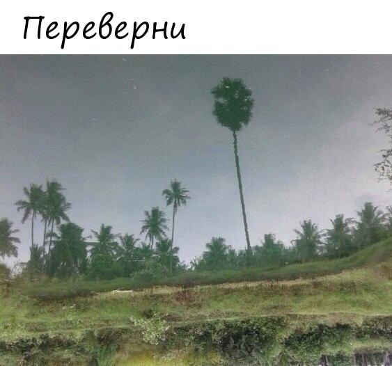   - 3  2019  16:54