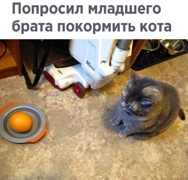  - 6  2018  16:54