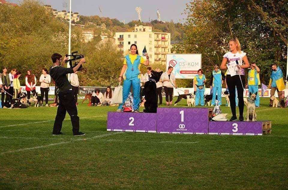     2018. . 7.10.2018.     - 2 .