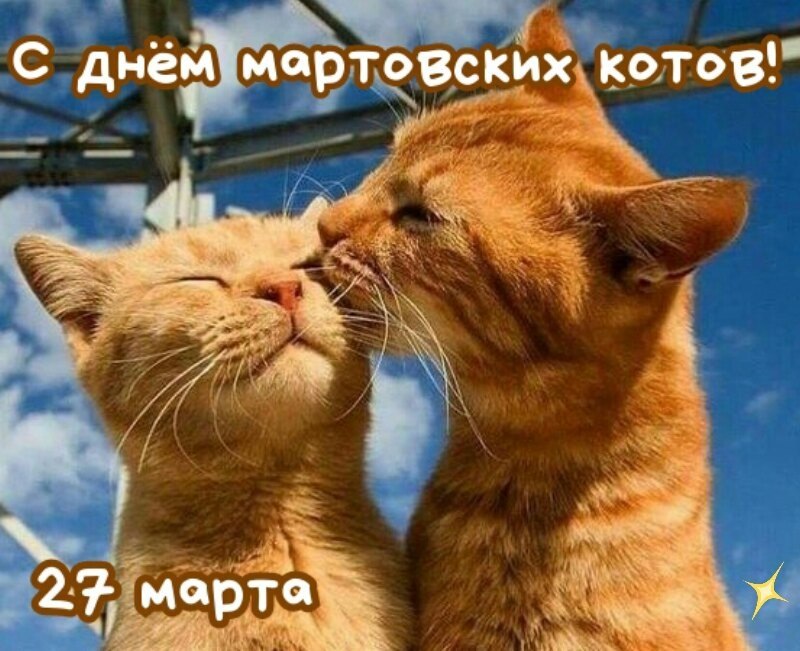 ***Victoria Viktorovna*** - 27  2019  15:10
