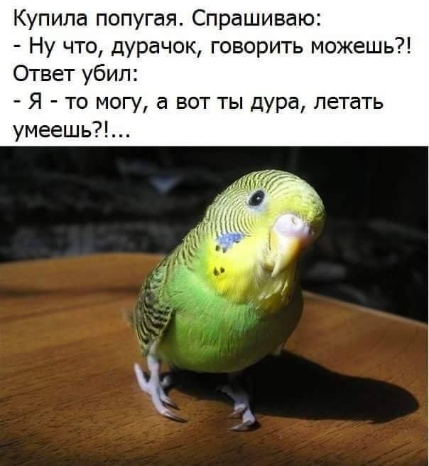   )))