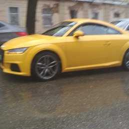 �����, ����������, 40 ���