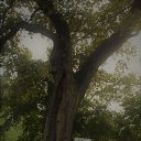 ���� �����, ��������� - ��������� 7 ������� 2018 � ������ ���� ����������