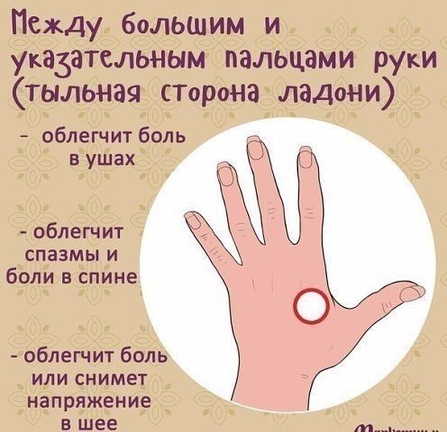 ���������� ����� �����, ������� ������ ���� � ������������ ������: - 6