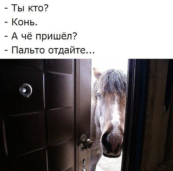 ***Victoria Viktorovna*** - 25  2019  16:22