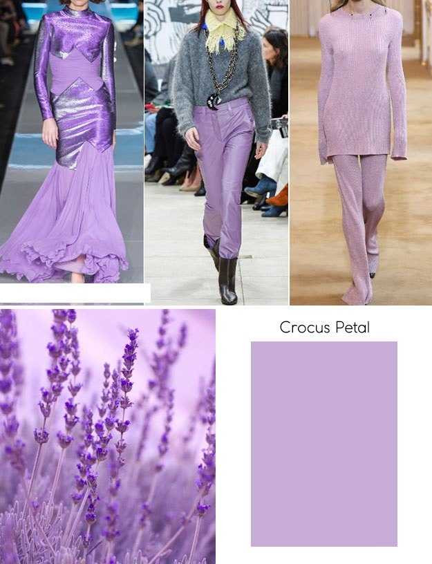 8. Crocus Petal ( )