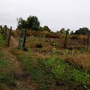 ���� ������, ����, 49 ��� - ��������� 10 ������� 2018 � ������ ���� ����������