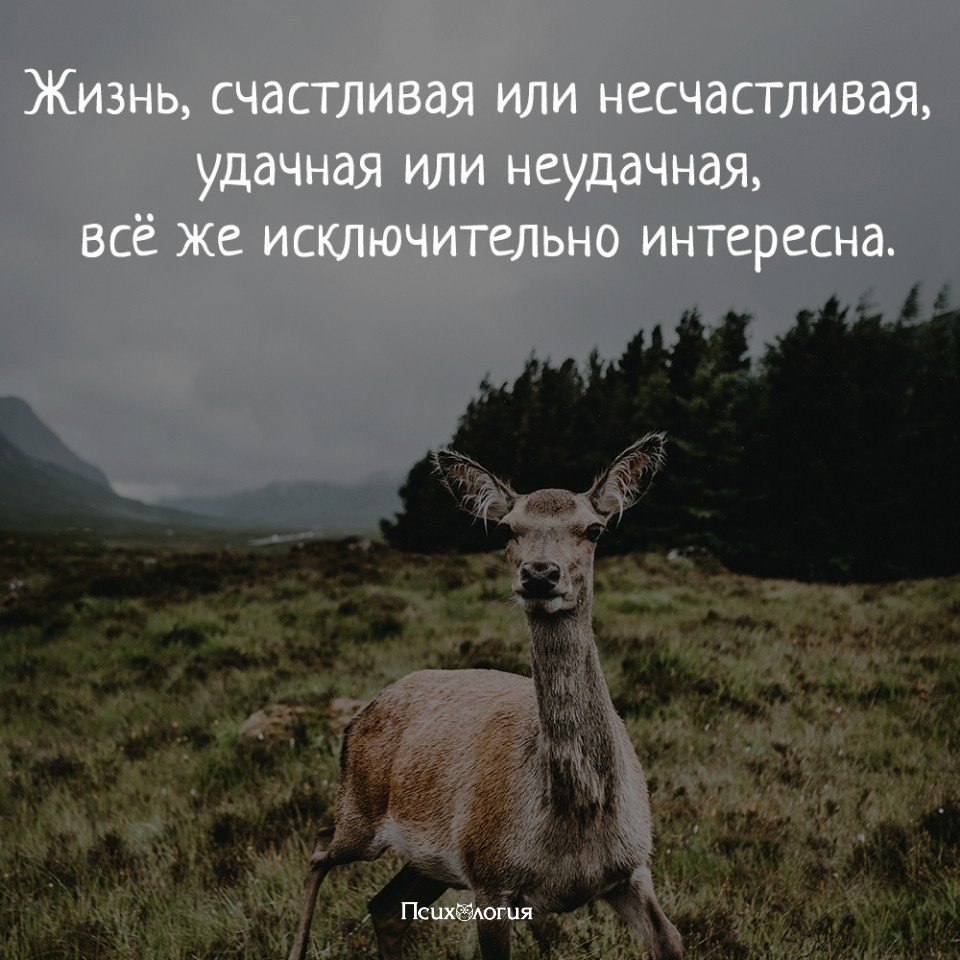  - 18  2018  16:42
