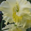 ���� ������, ������ - ��������� 26 ������� 2019 � ������ ���� ����������