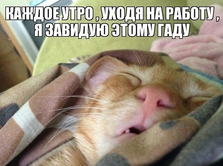  - 28  2019  16:54