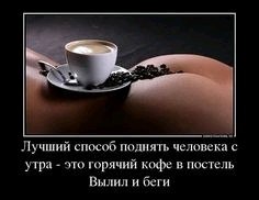  ))