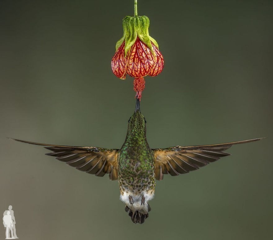      National Geographic. - 5