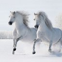  Angelica, , 50  -  21  2019    )))