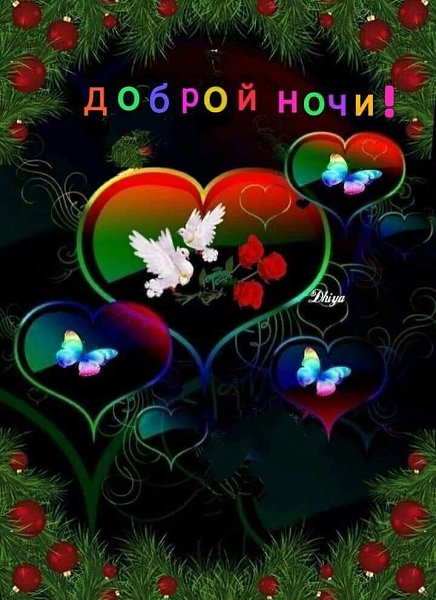   ,    . - 24  2019  21:25