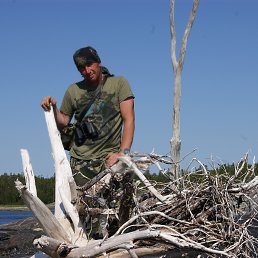 Фото Андрей, Архангельск, 53 года - добавлено 23 июля 2018