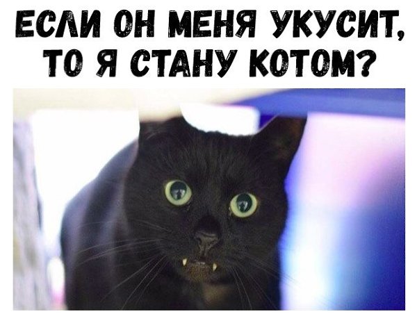    :D - 4  2018  17:08