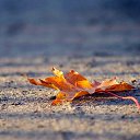 ���� Aleksa, ������, 30 ��� - ��������� 17 ������� 2018 � ������ ������ ��������
