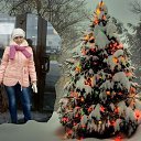 ���� ��������, ����������� - ��������� 12 ������� 2018 � ������ ���� ����������