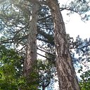  , , 60  -  4  2018   ,  ,04.08.18.