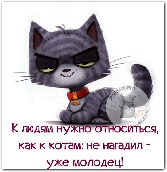   - 14  2018  16:31