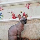 ���� ������, ����� - ��������� 19 ����� 2019