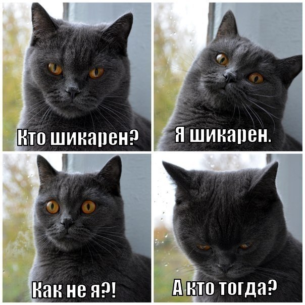   - 4  2018  17:00