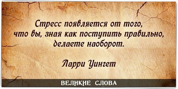 Pin by Kett Real on Wisdom Quotes in Russian  Life quotes Wisdom quotes  Interesting quotes