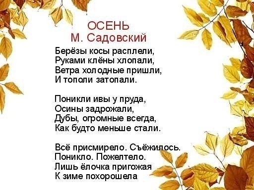      .       . ... - 4