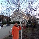 ���� ���������, ����, 61 ��� - ��������� 24 ������� 2018 � ������ ���� ����������