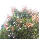  , , 60  -  28  2018   ,  , 2018