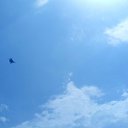 ���� �������, ������, 38 ��� - ��������� 14 ���� 2018 � ������ ������ ��������