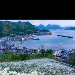 A����, ������-��-����, 50 ���