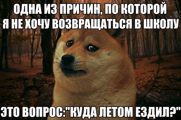 ☆   ☆ - 14  2018  16:24
