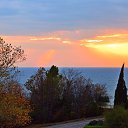  , , 66  -  20  2019   ..