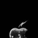 ���� ����, ���������, 48 ��� - ��������� 21 ������ 2018