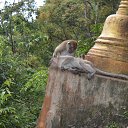 ���� �������, ���������, 46 ��� - ��������� 21 ������� 2018 � ������ ����������