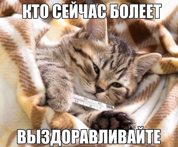    - 24  2018  16:43