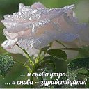 ���� �������, ������ - ��������� 13 ������� 2019