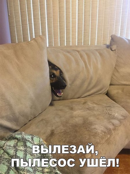   :D - 10  2018  16:54